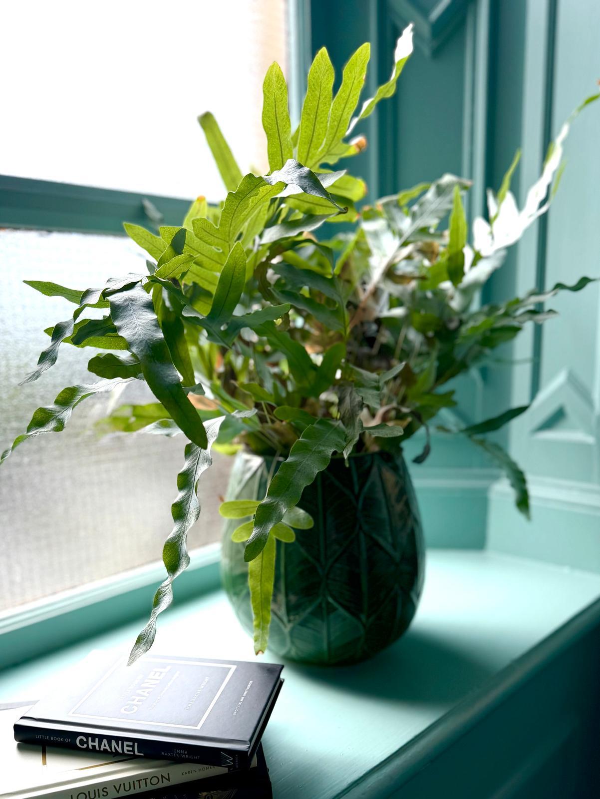 Double Rooms - Image 11